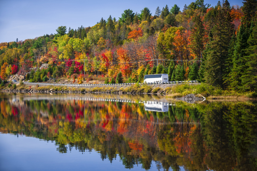 dove vedere il foliage in italia